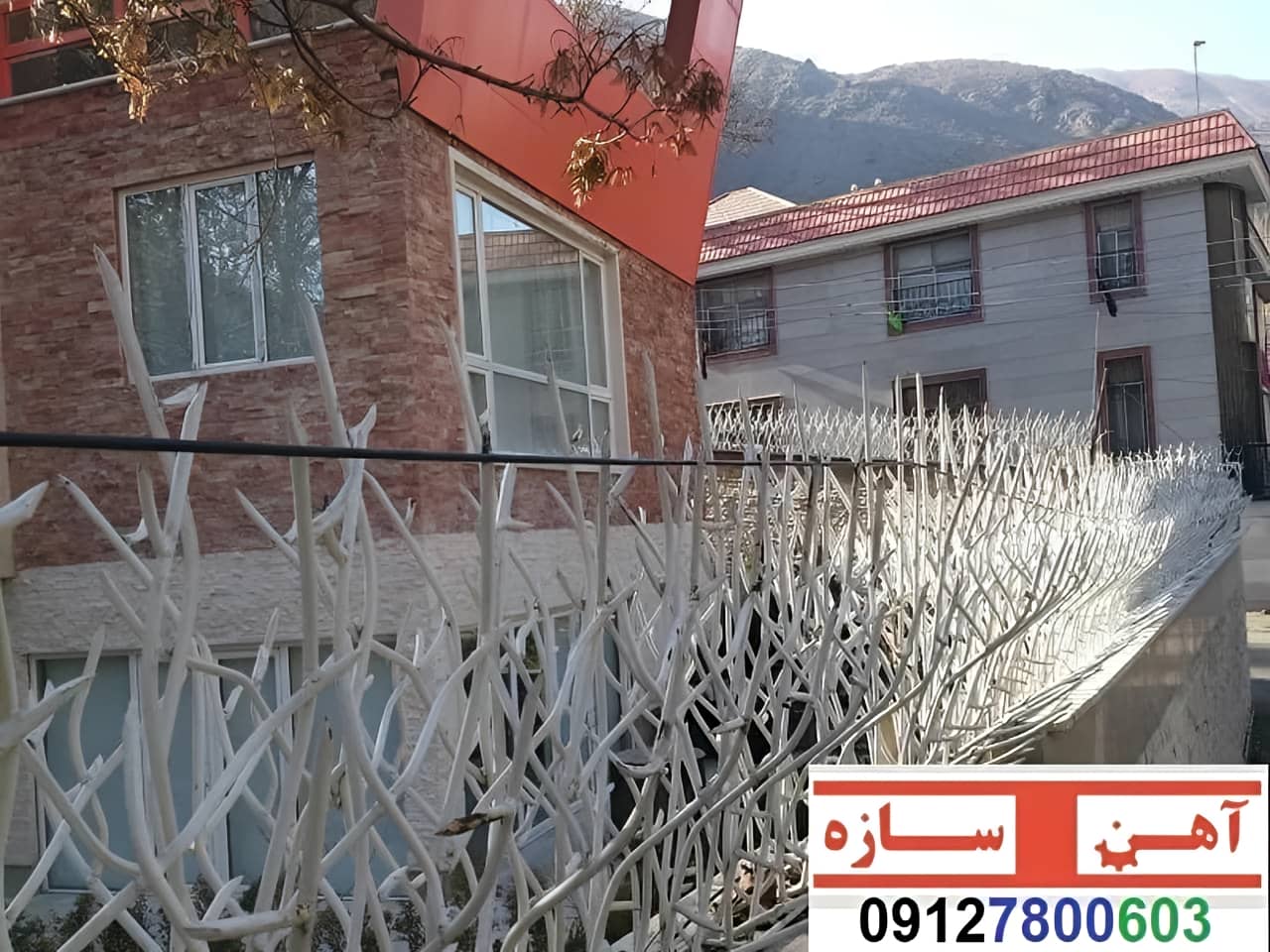 فنس حفاظ روی دیوار شاخ گوزن بوته خار لیلیومی