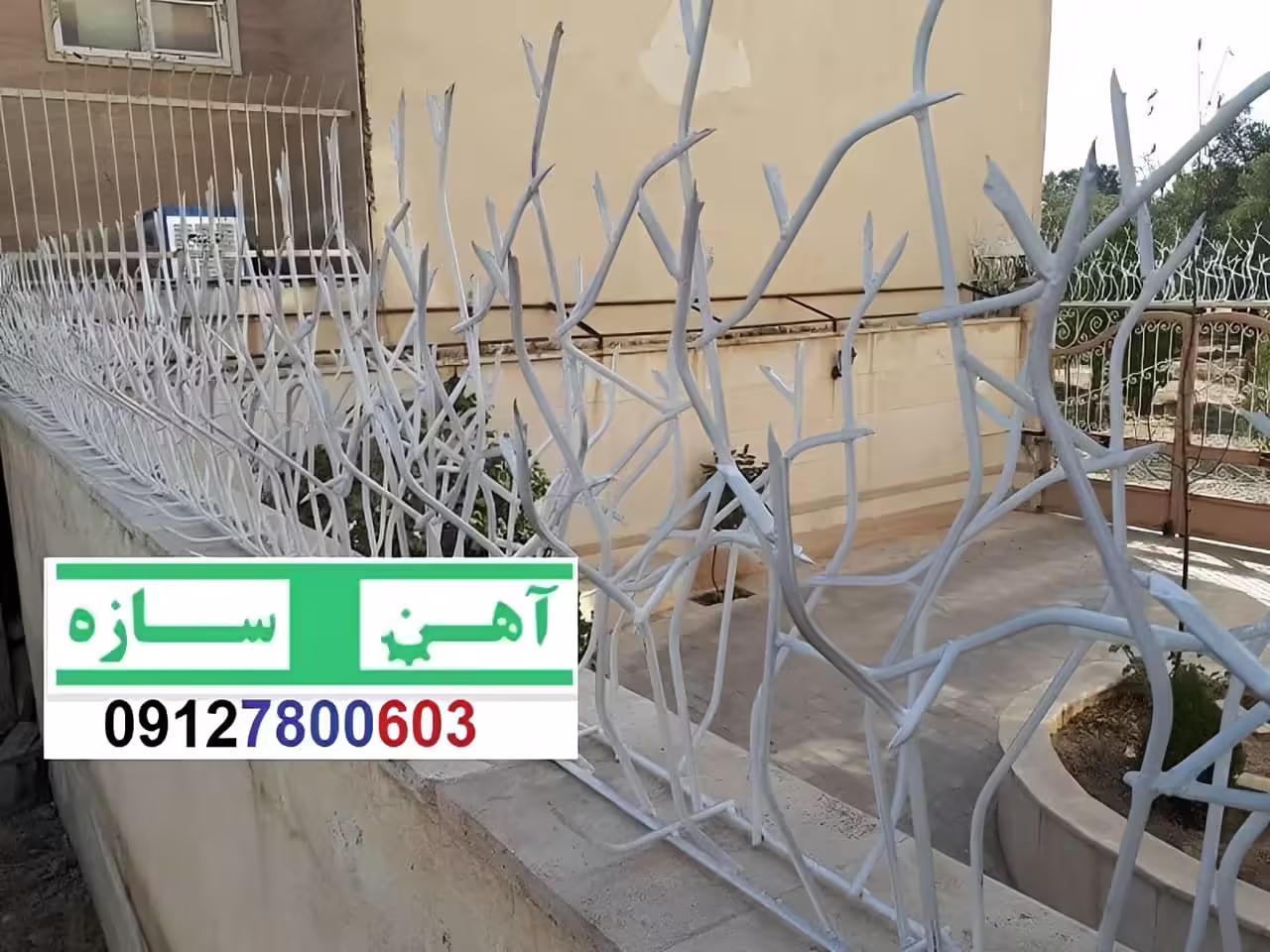 فنس حفاظ روی دیوار شاخ گوزن بوته خار لیلیومی