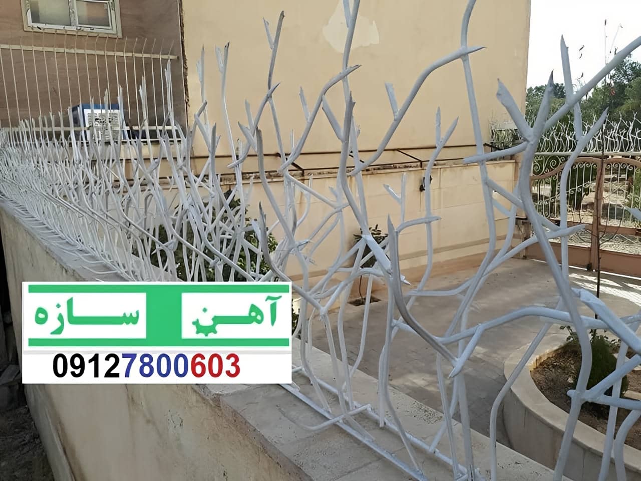 فنس حفاظ روی دیوار شاخ گوزن بوته خار لیلیومی