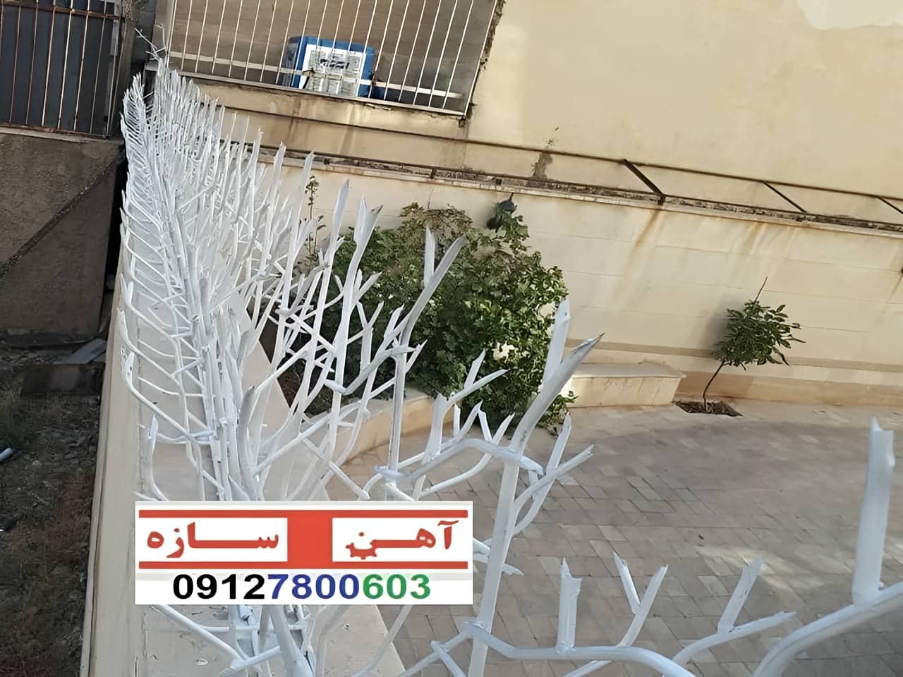 فنس حفاظ روی دیوار شاخ گوزن بوته خار لیلیومی