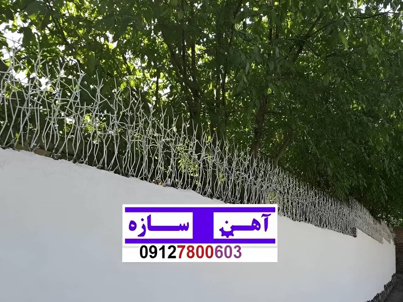 فنس حفاظ روی دیوار شاخ گوزن بوته خار لیلیومی