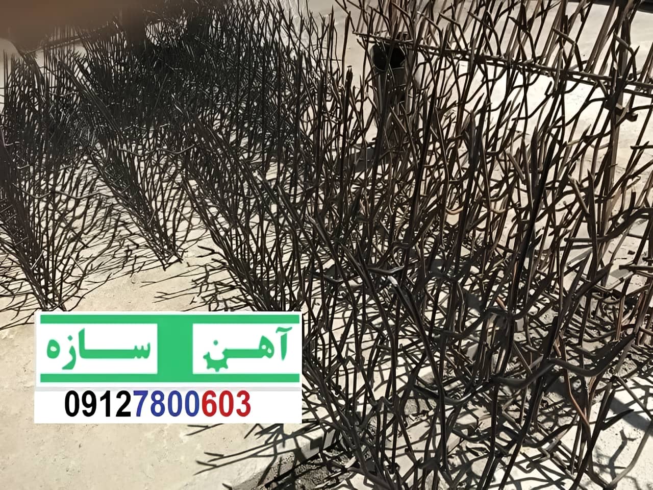 فنس حفاظ روی دیوار شاخ گوزن بوته خار لیلیومی