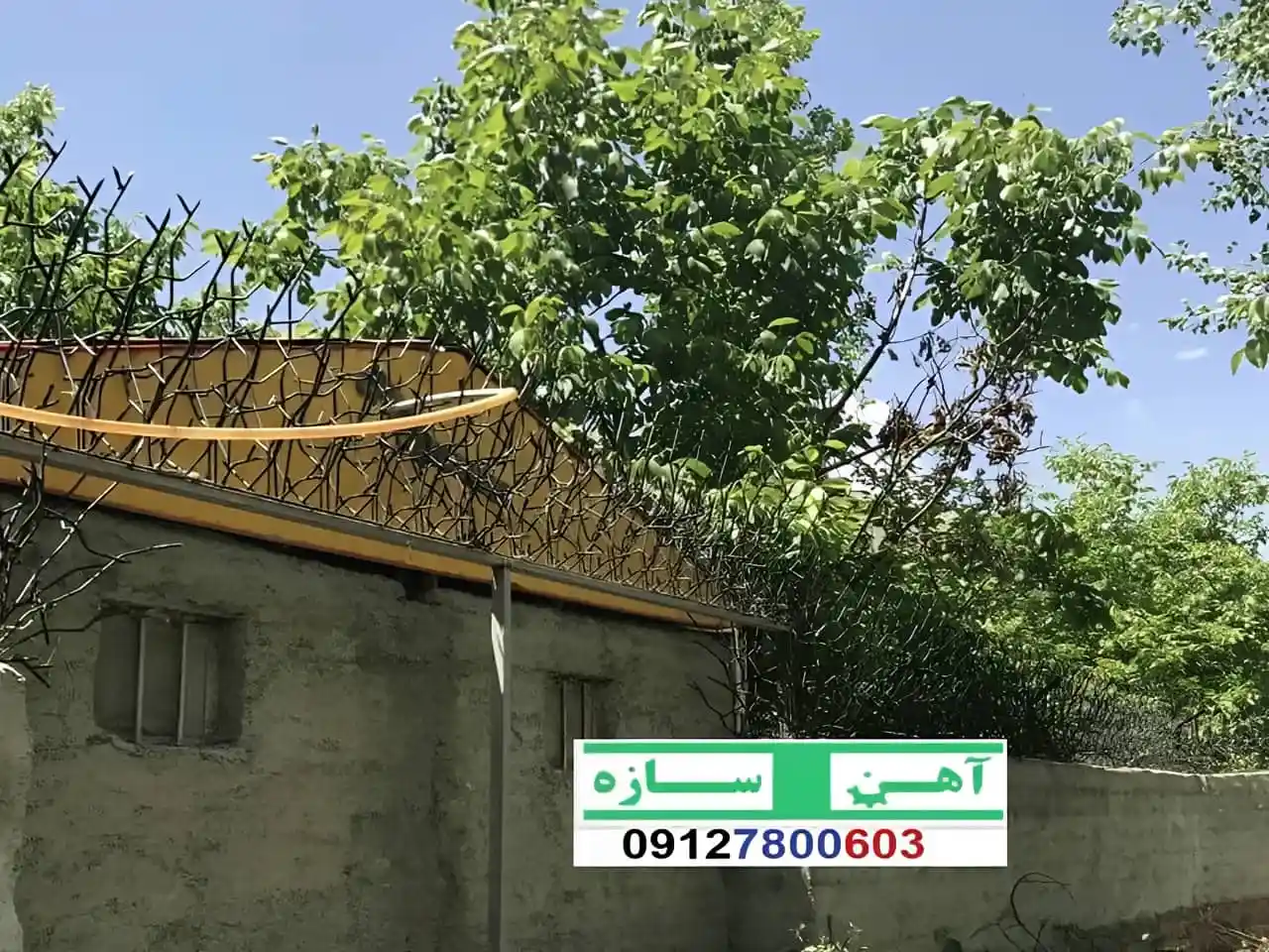 فنس حفاظ روی دیوار شاخ گوزن بوته خار لیلیومی