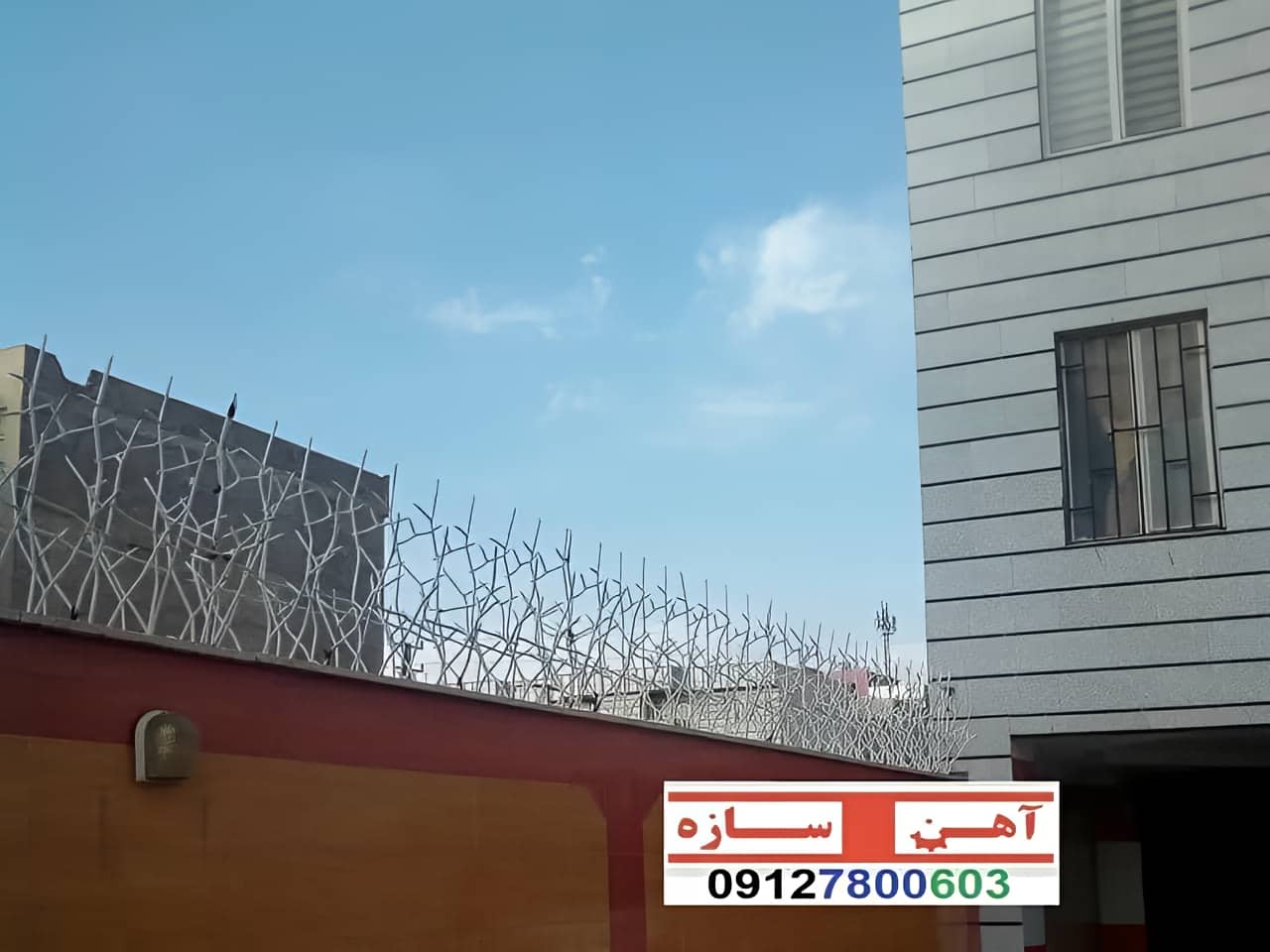 فنس حفاظ روی دیوار شاخ گوزن بوته خار لیلیومی