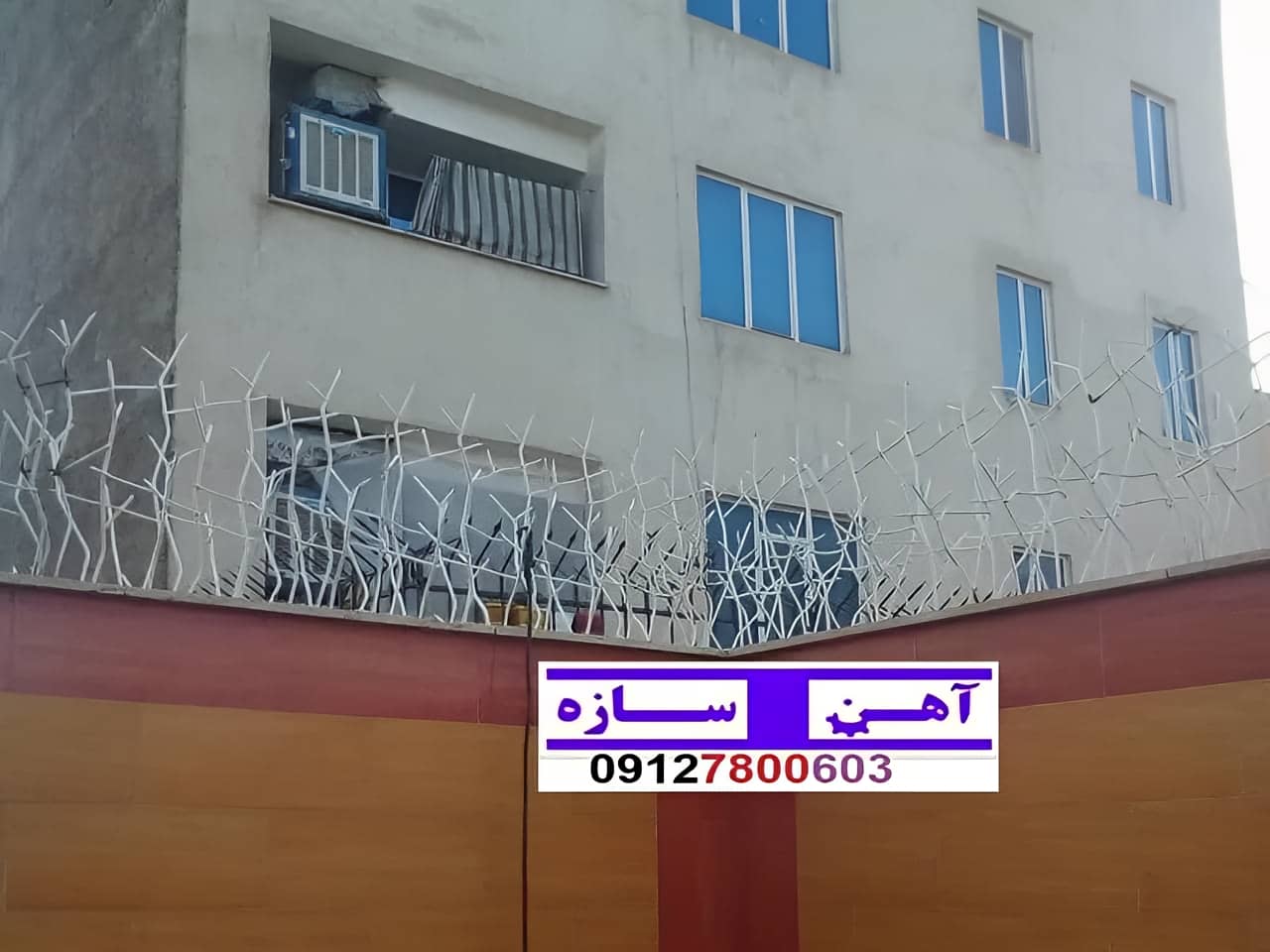 فنس حفاظ روی دیوار شاخ گوزن بوته خار لیلیومی