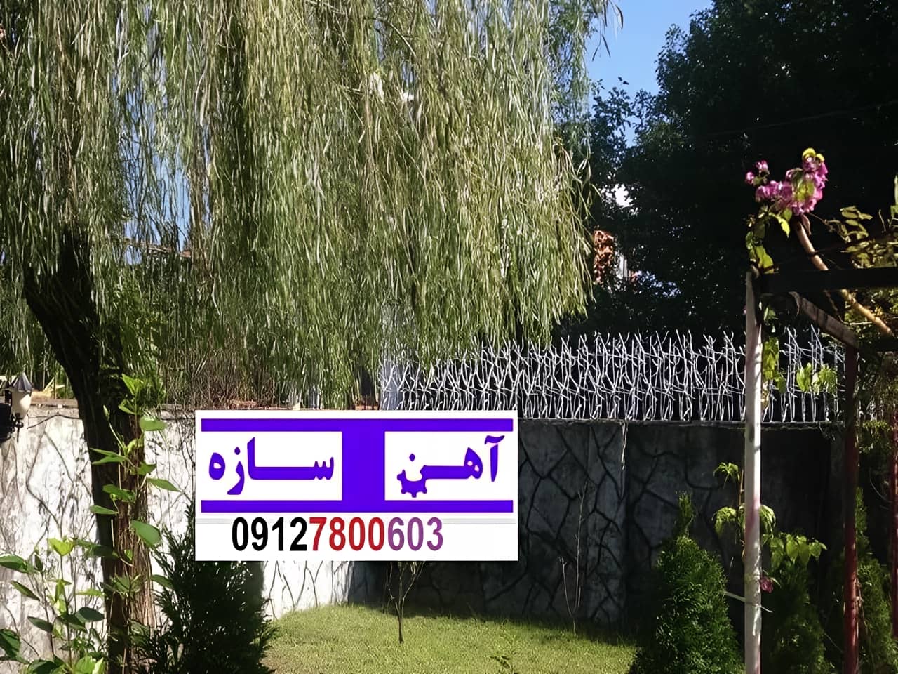 فنس حفاظ روی دیوار شاخ گوزن بوته خار لیلیومی