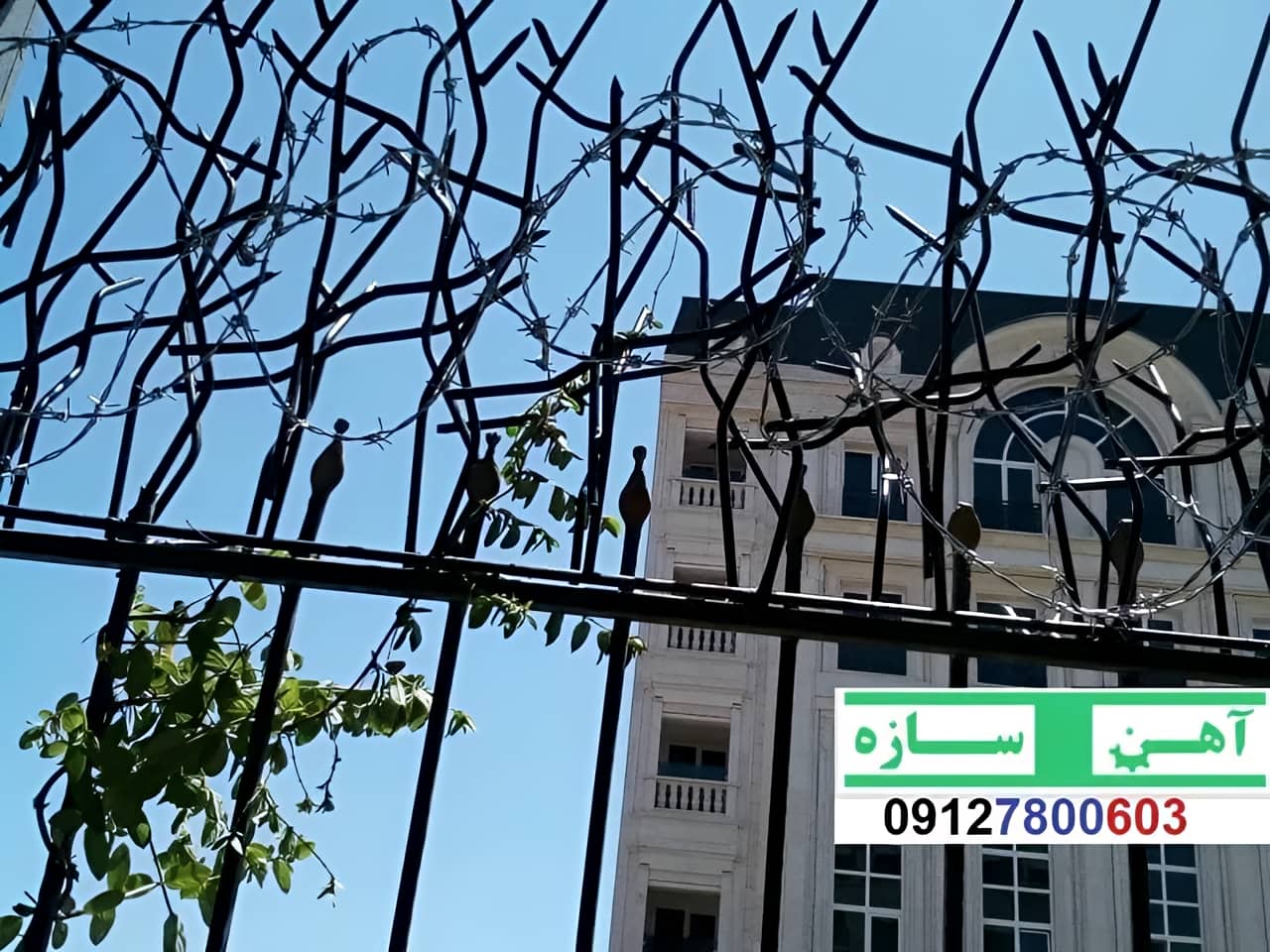 فنس حفاظ روی دیوار شاخ گوزن بوته خار لیلیومی