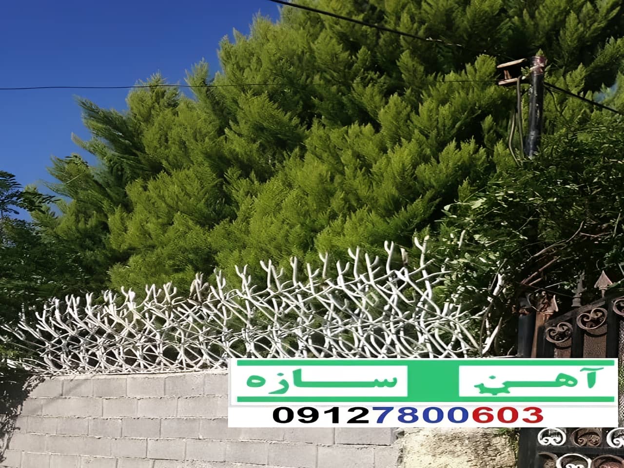 فنس حفاظ روی دیوار شاخ گوزن بوته خار لیلیومی