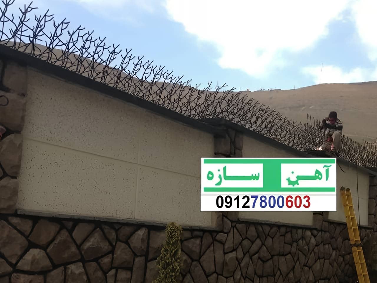 فنس حفاظ روی دیوار شاخ گوزن بوته خار لیلیومی