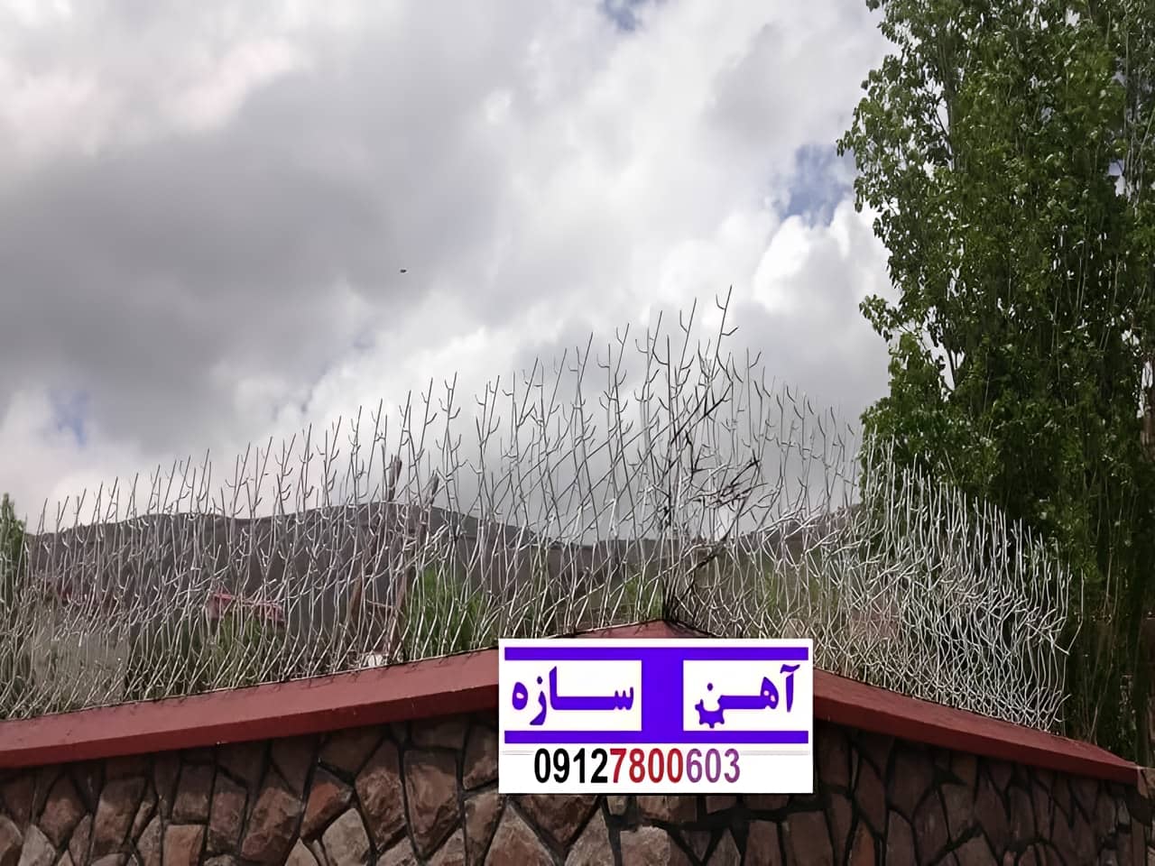 فنس حفاظ روی دیوار شاخ گوزن بوته خار لیلیومی