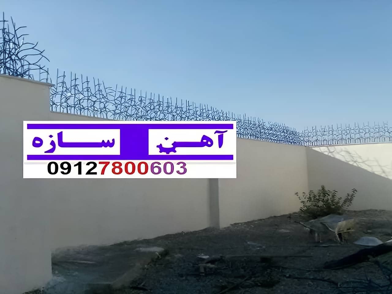 فنس حفاظ روی دیوار شاخ گوزن بوته خار لیلیومی