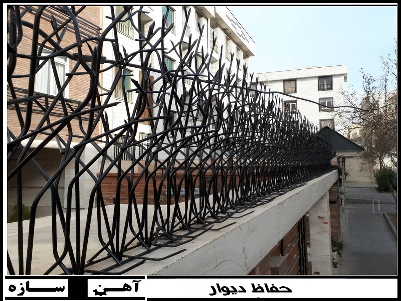 اهمیت امنیت در حفاظ شاخ گوزنی