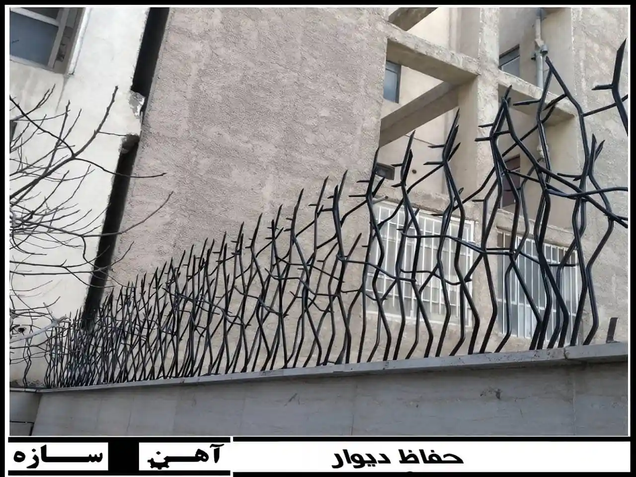 حفاظ شاخ گوزنی امنیت ویلا