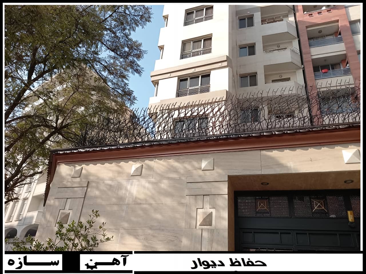 تنوع حفاظ شاخ گوزنی
