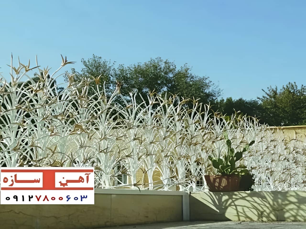 بررسی حفاظ لیلیومی