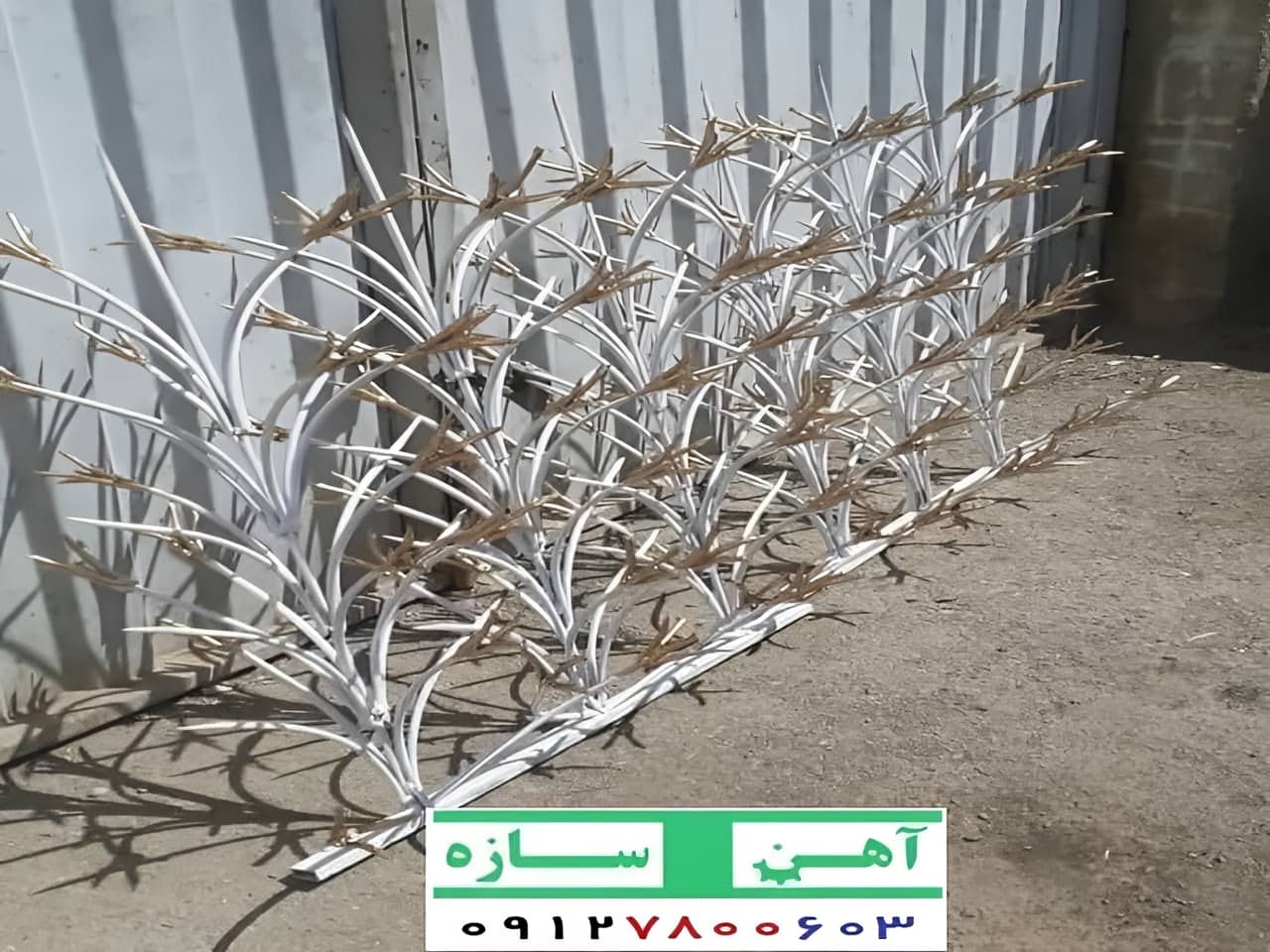 ظاهر شیک حفاظ لیلیوم