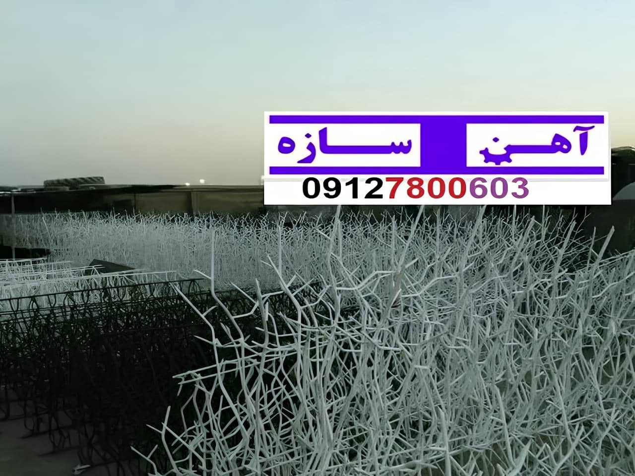 فنس حفاظ روی دیوار شاخ گوزن بوته خار لیلیومی
