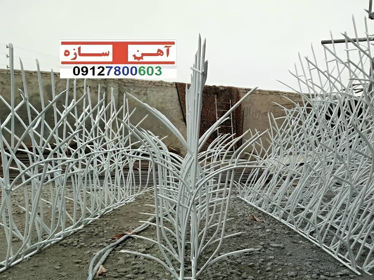 فنس حفاظ روی دیوار شاخ گوزن بوته خار لیلیومی