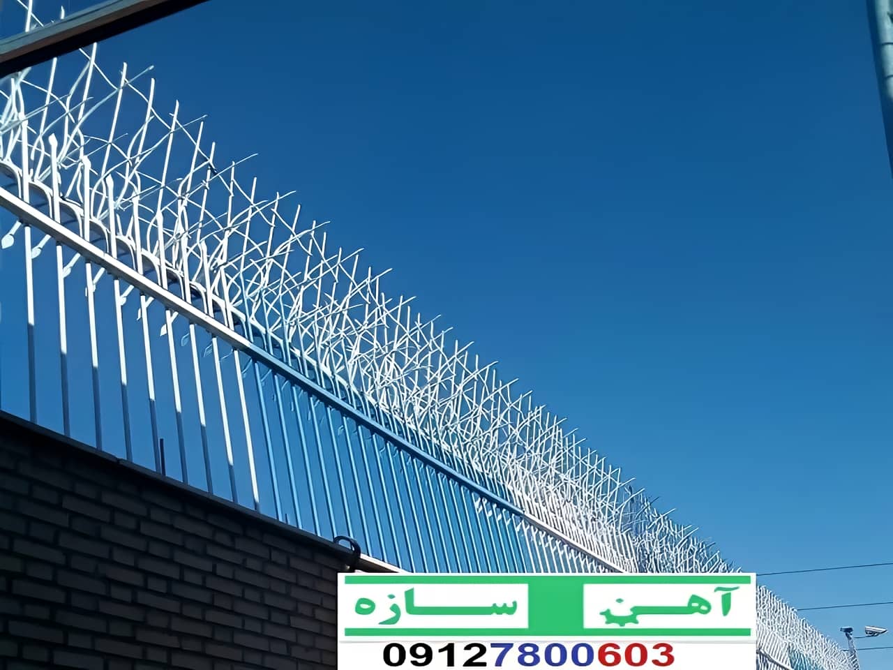 فنس حفاظ روی دیوار شاخ گوزن بوته خار لیلیومی