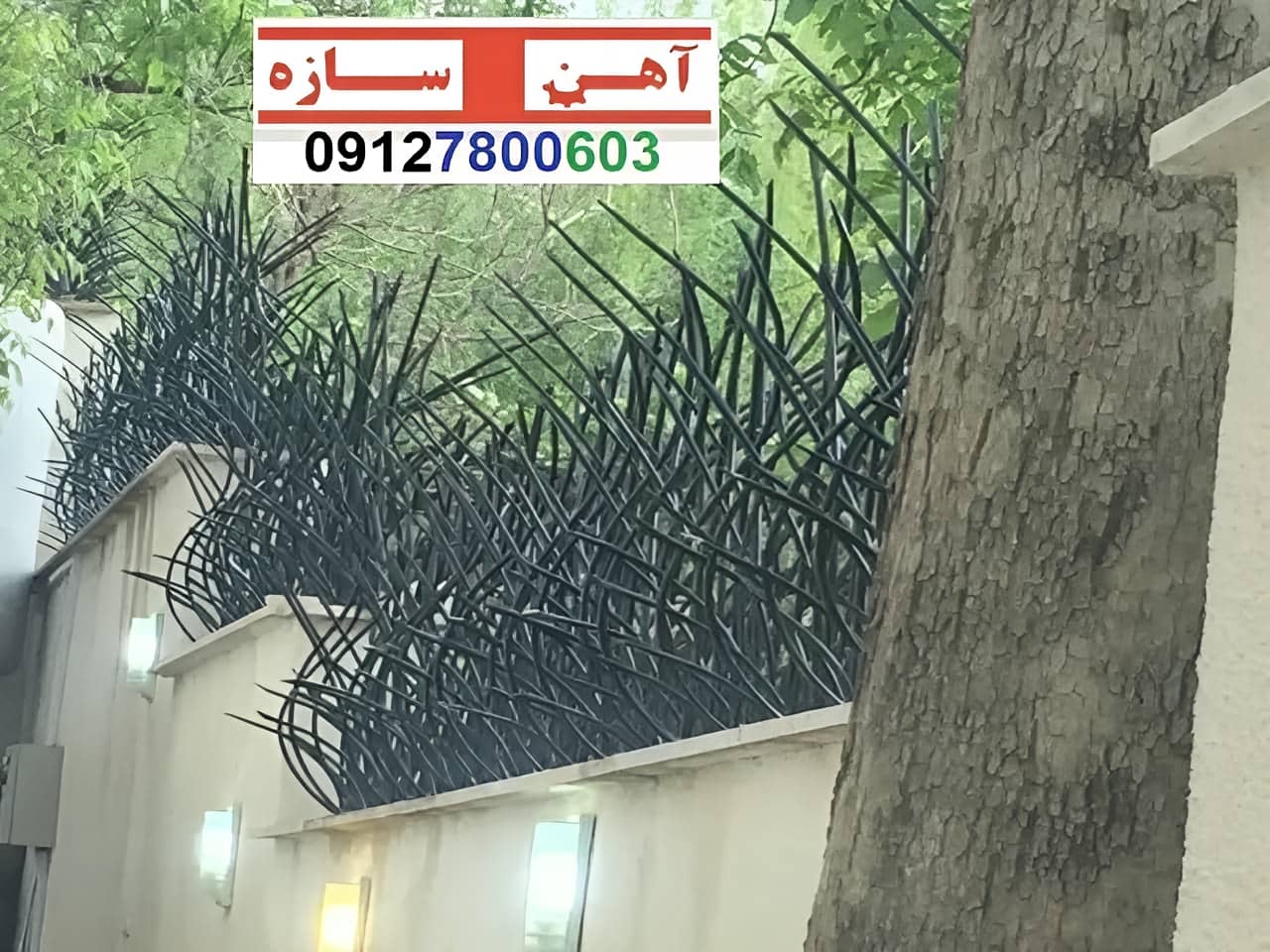 فنس حفاظ روی دیوار شاخ گوزن بوته خار لیلیومی