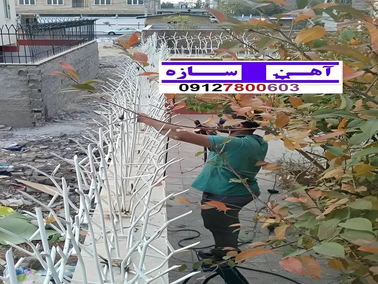 فنس حفاظ روی دیوار شاخ گوزن بوته خار لیلیومی
