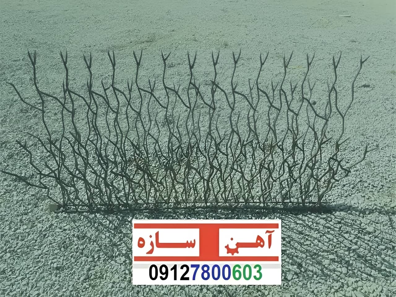 فنس حفاظ روی دیوار شاخ گوزن بوته خار لیلیومی