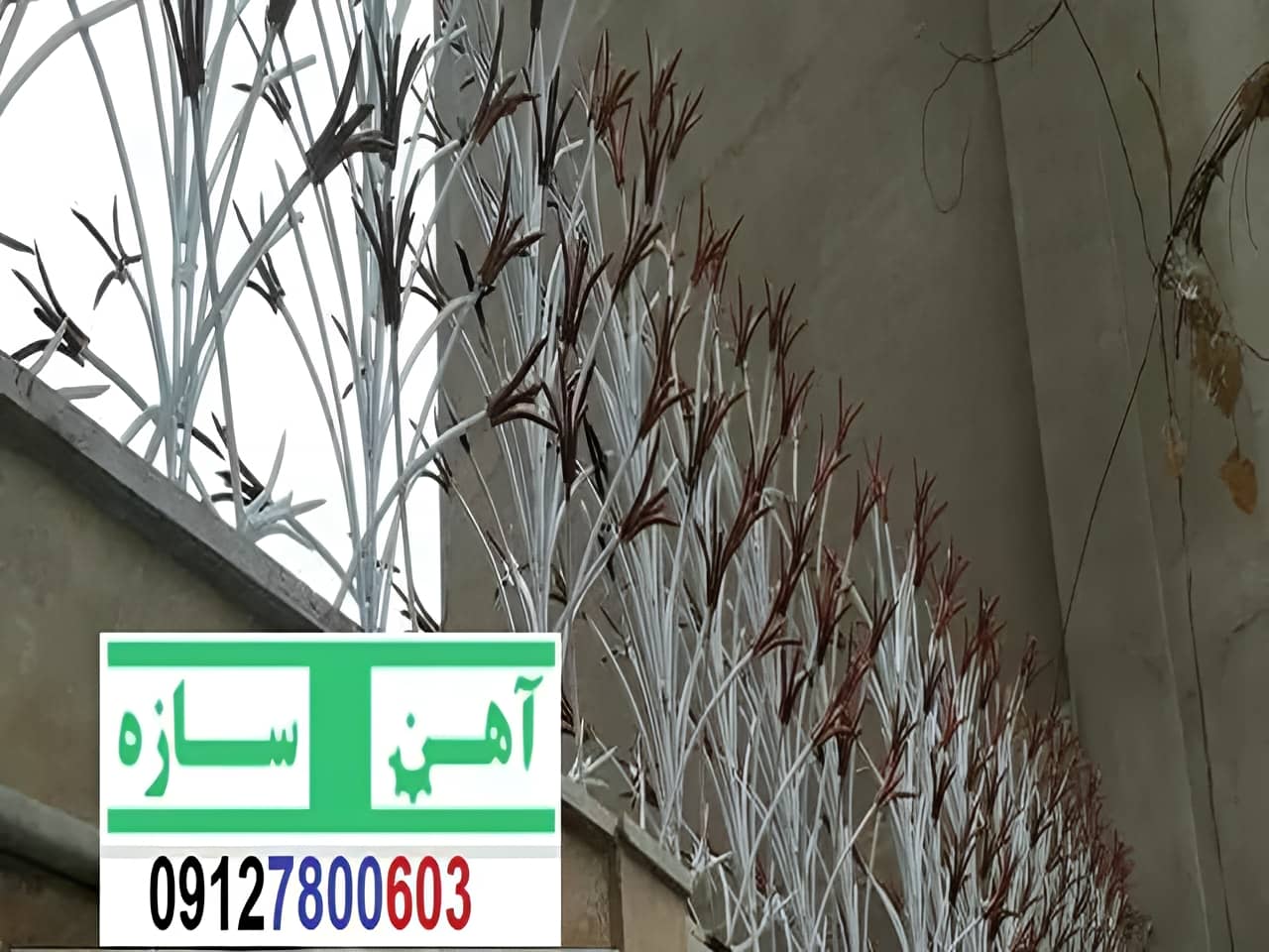 نرده لیلیونی