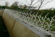 حفاظ شاخ گوزنی کرج