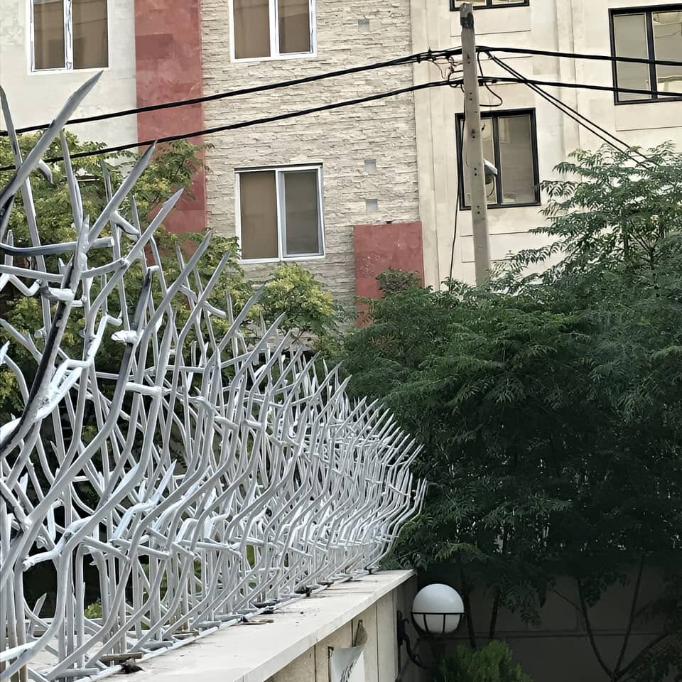 نکات مهم در نگهداری حفاظ شاخ گوزنی