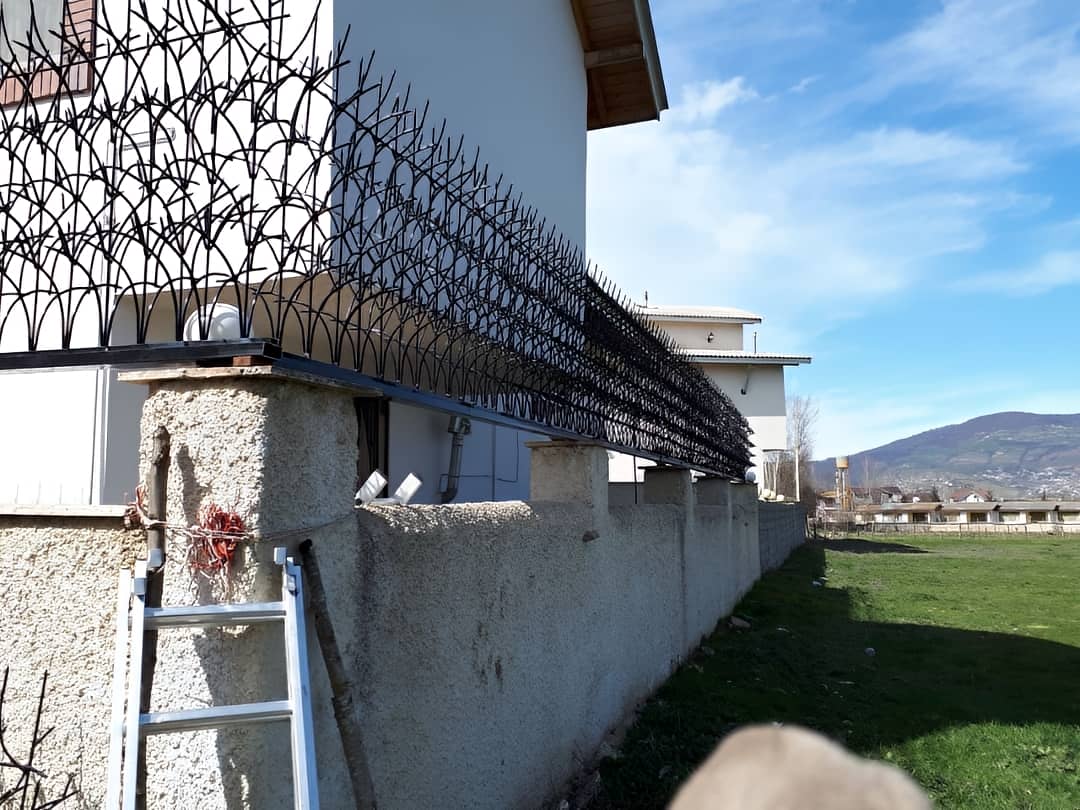 نگهداری حفاظ شاخ گوزنی مدل اف