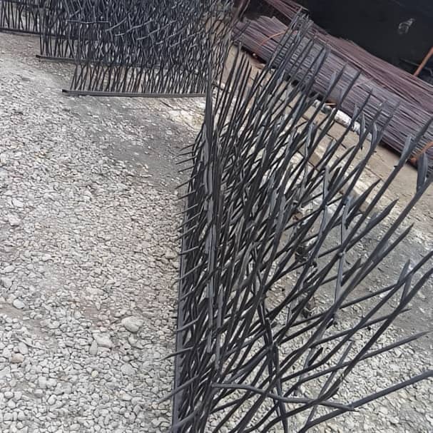 بررسی قیمت حفاظ شاخ گوزنی