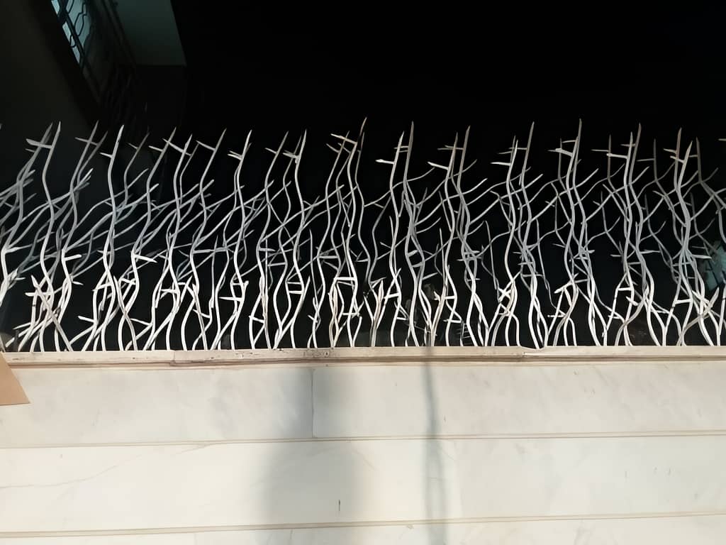راهنمای نصب بهترین حفاظ شاخ گوزنی