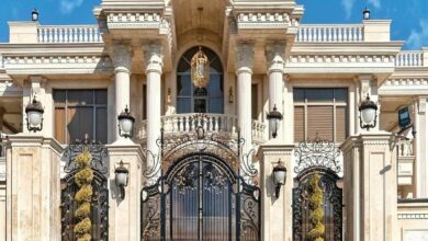 elysee-door-wrought-iron-cx