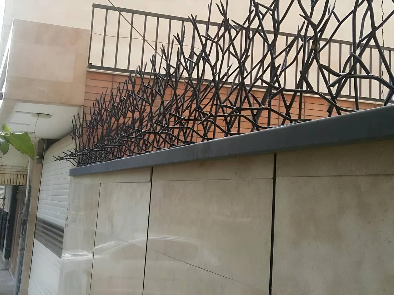 راهنمای نصب حفاظ شاخ گوزنی روی دیوار