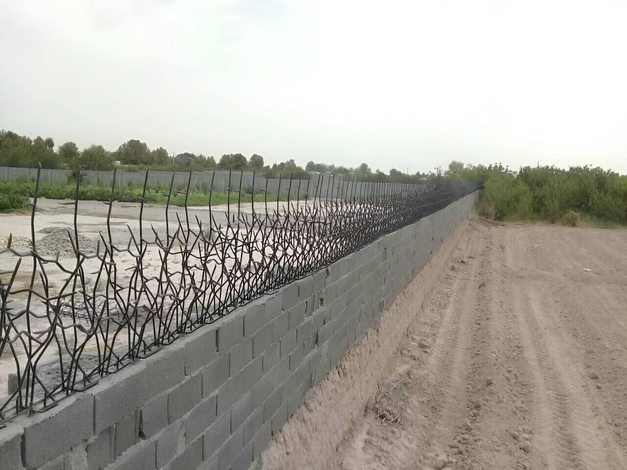 مزایا و معایب نصب حفاظ شاخ گوزنی