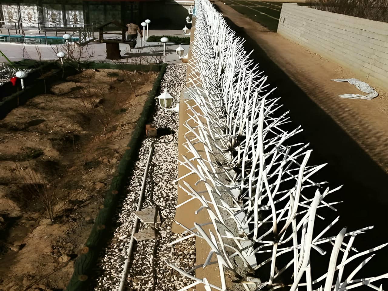 راهنمای انتخاب حفاظ شاخ گوزنی مدل مارال