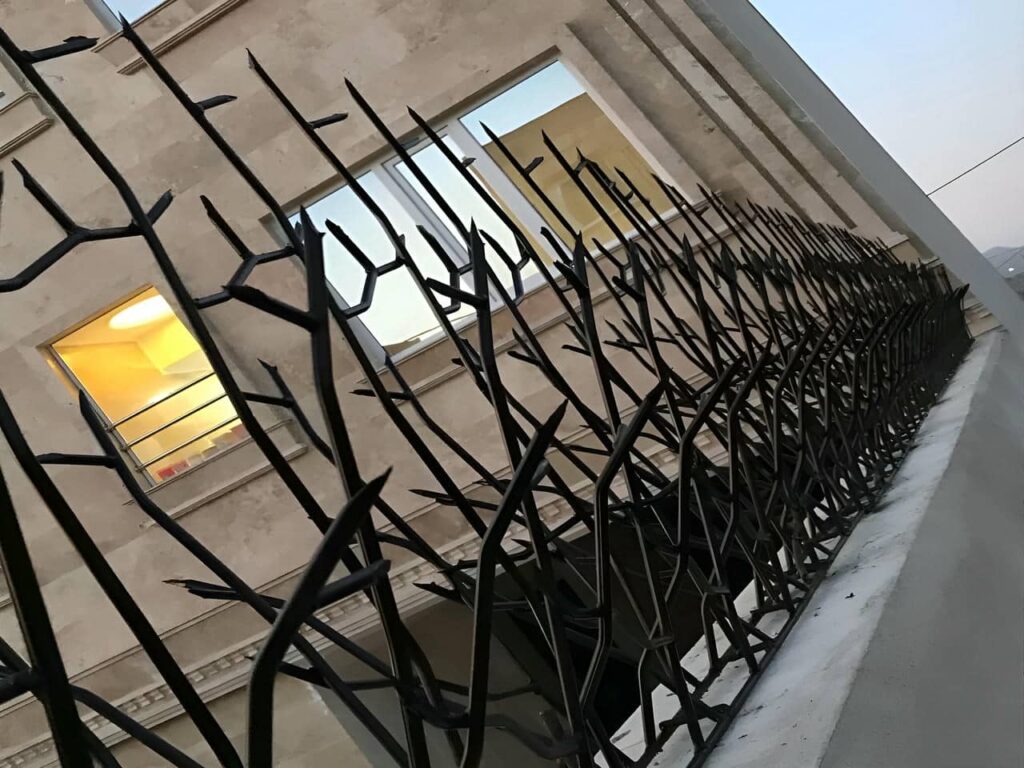 امنیت حفاظ شاخ گوزنی