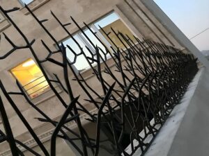 حفاظ آهنی در جنوب تهران