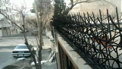 حفاظ شاخ گوزنی در معماری مدرن