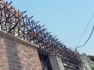 نصب حفاظ سردیواری شاخگوزنی