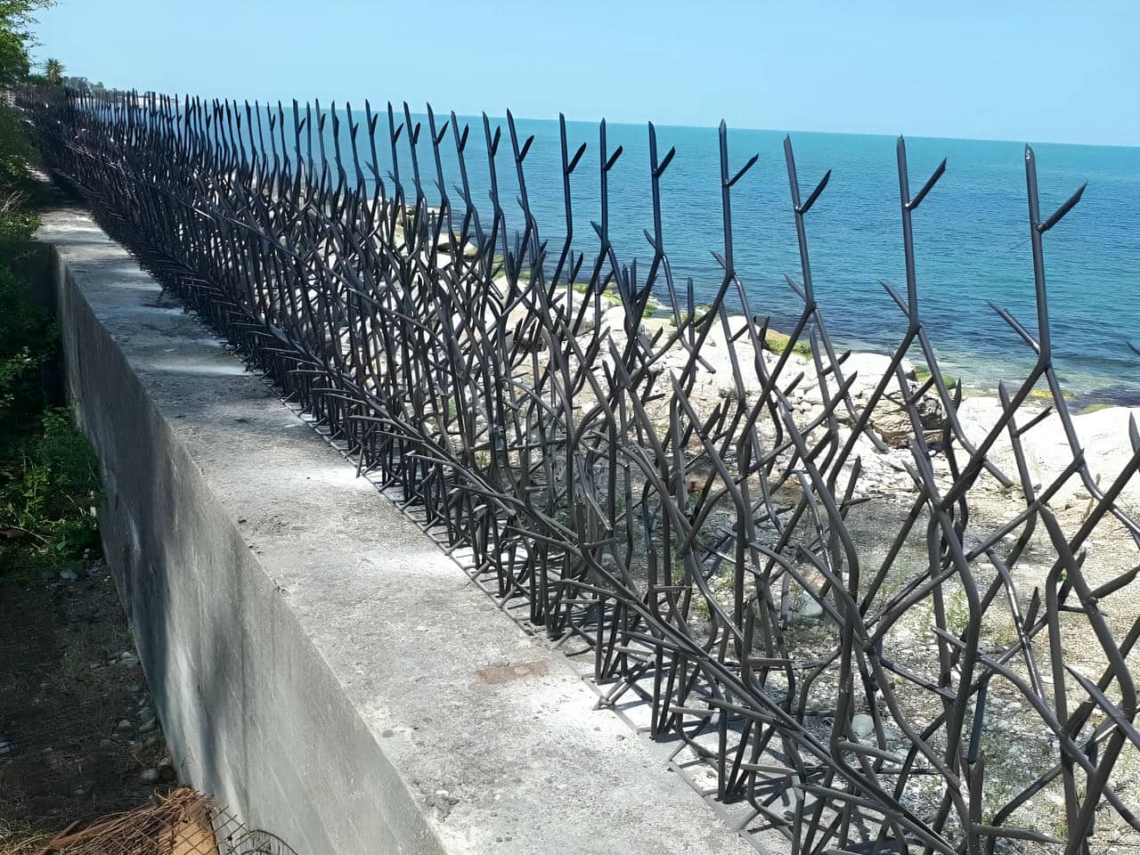 رنگ مناسب حفاظ شاخ گوزنی