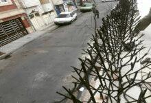مدل‌های مختلف حفاظ‌های آهنی در ازگل