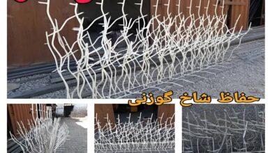 حفاظ میله ای نوک تیز روی دیوار ویلا