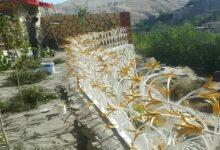 مدل نرده دیوار