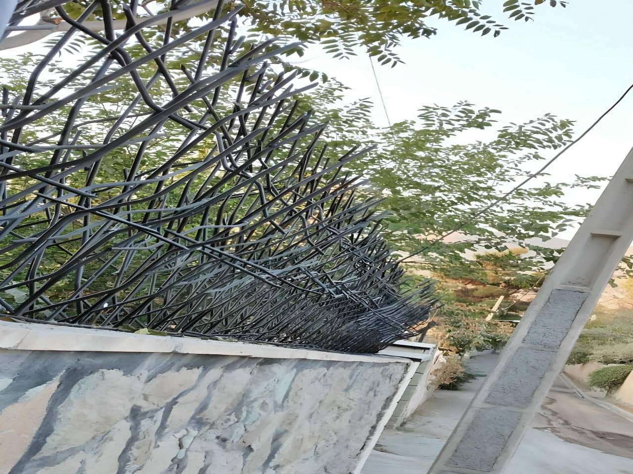 کاربرد حفاظ شاخ گوزنی