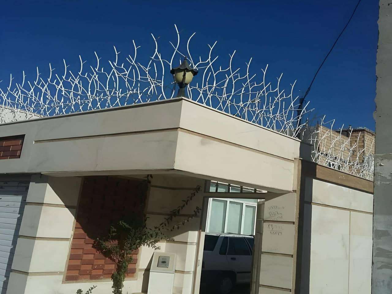 حفاظ شاخ گوزنی: امنیت و زیبایی در یک نگاه