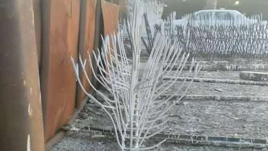 گوزن حفاظ