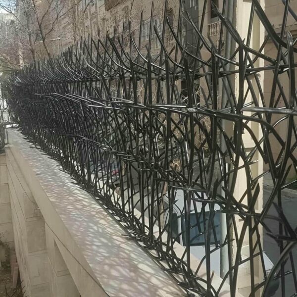 نصب حفاظ شاخ گوزنی