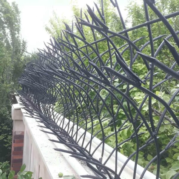 عکس و مدل های متنوع حفاظ شاخ گوزنی