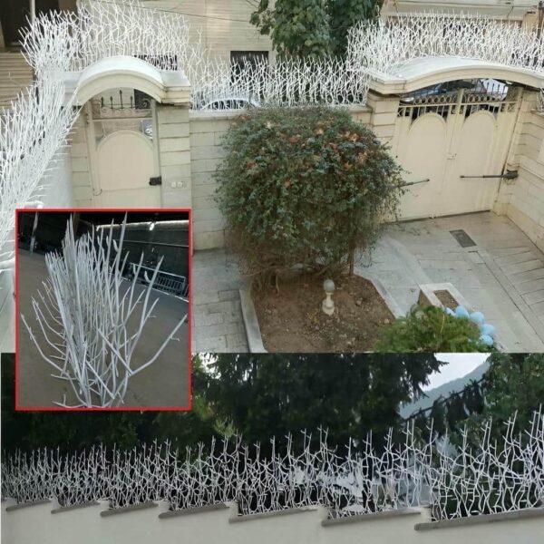 تصب حفاظ شاخ گوزنی